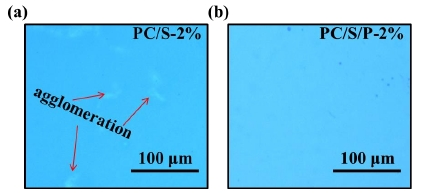 圖1 PC基底有無等離子體處理的有機硅膜層的表面形貌 